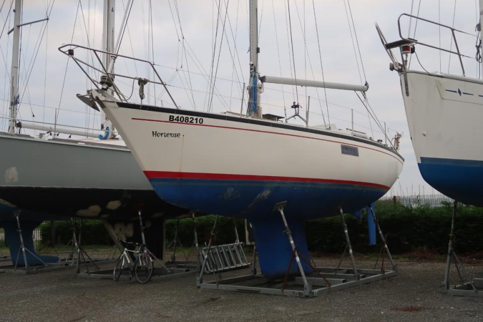 Hortense